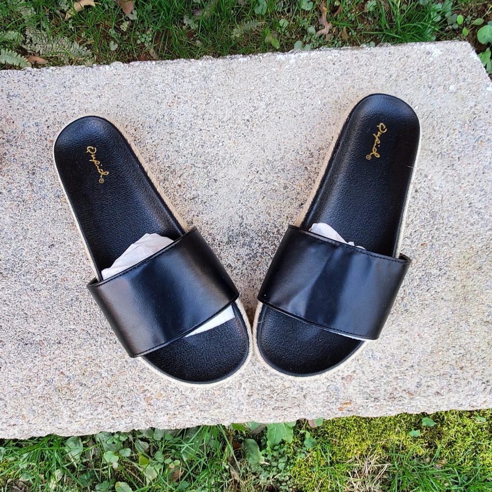 Black Slides - Picture 2 of 3